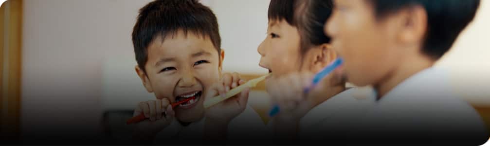 See the products made by our experts